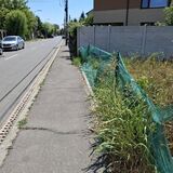 Giulesti, Drumul la Rosu